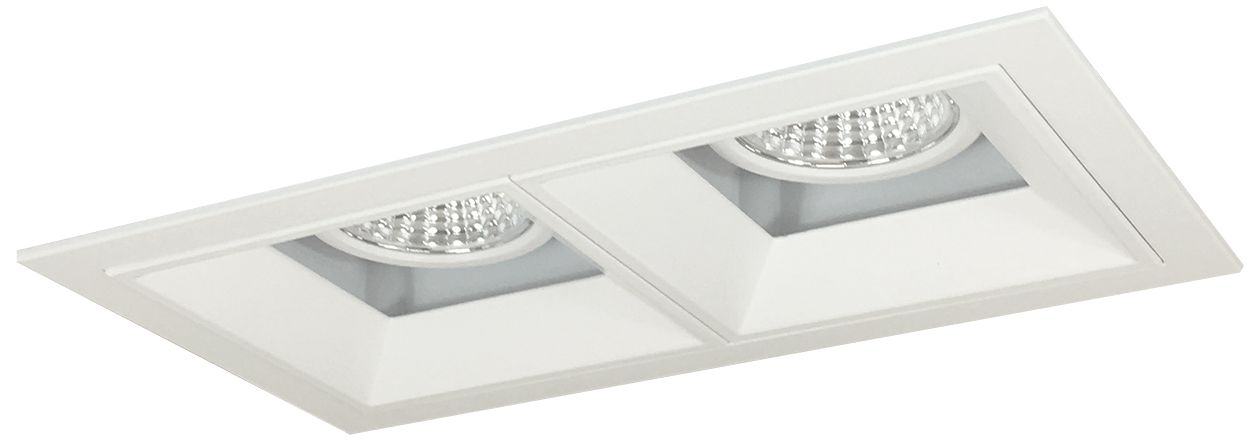 Iolite Multiple 4" White 2-Head 800lm LED Fixed Downlight