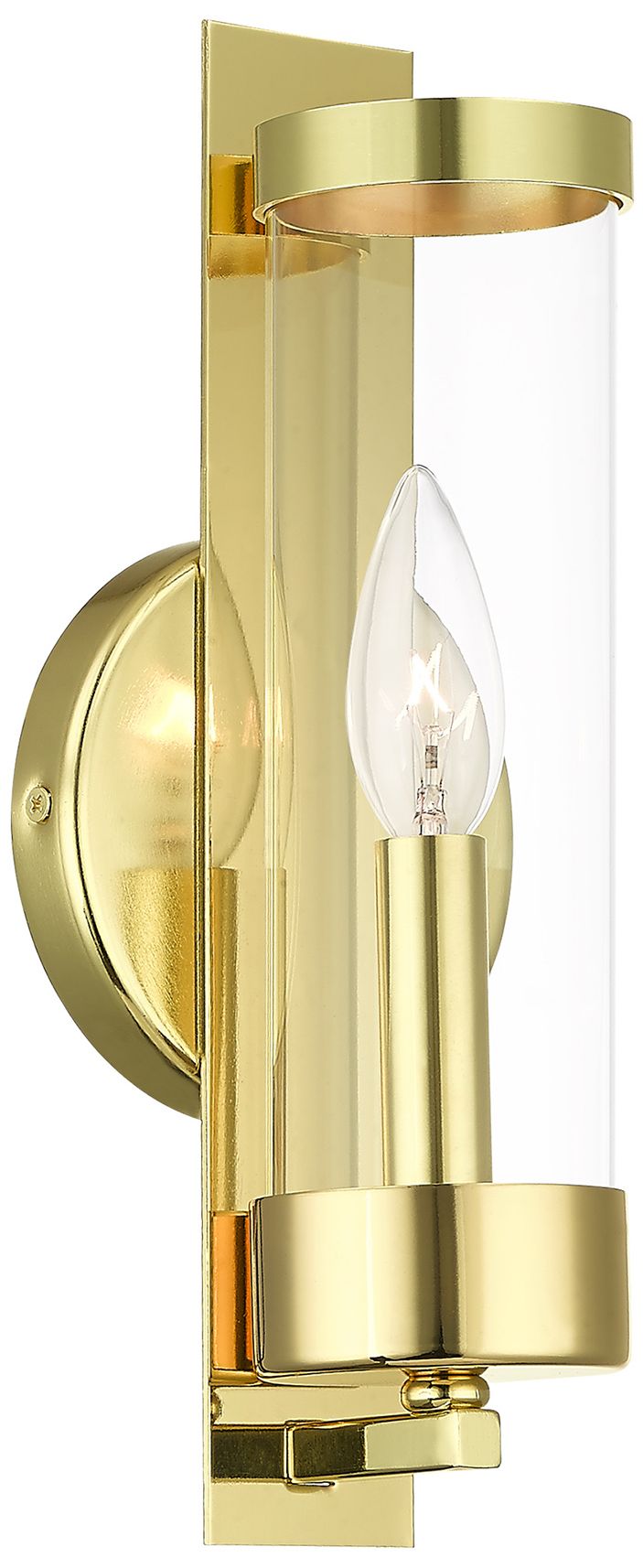 Castleton 1 Light Polished Brass ADA Wall Sconce