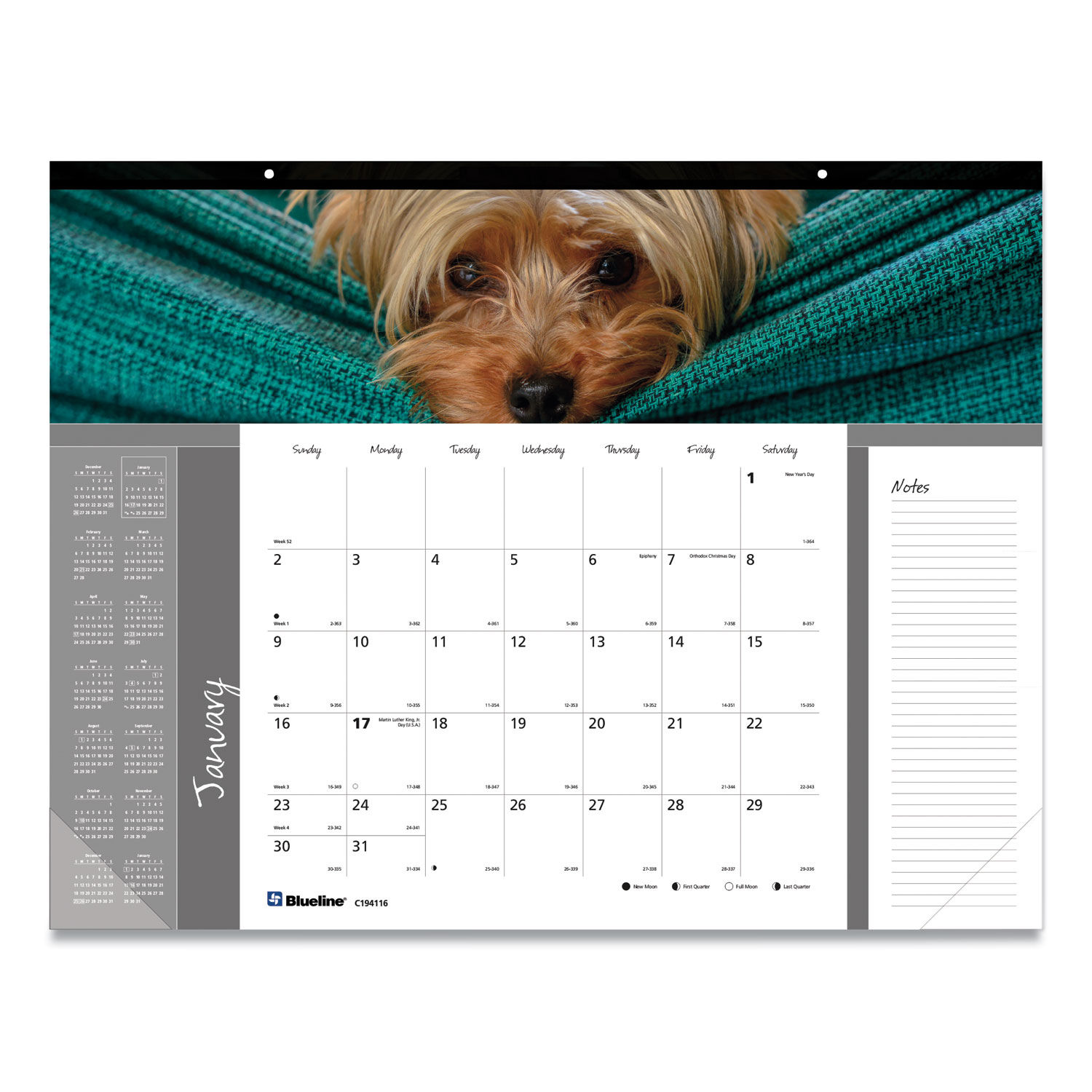 Pets Collection Monthly Desk Pad Puppies Photography, 22 x 17, Black Binding, Clear Corners, 12-Month (Jan to Dec): 2024