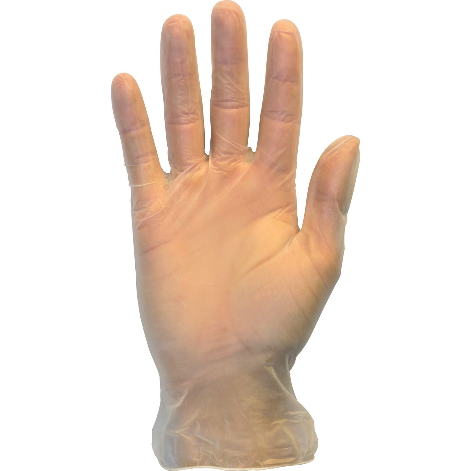 Powder Free Clear Vinyl Gloves Hand Protection, Large Size, Vinyl, Clear, Comfortable, Latex-free, DEHP-free, DINP-free, Chlorinate, Powder-free, For Food, Food Preparation, Cleaning, 1000 / Carton